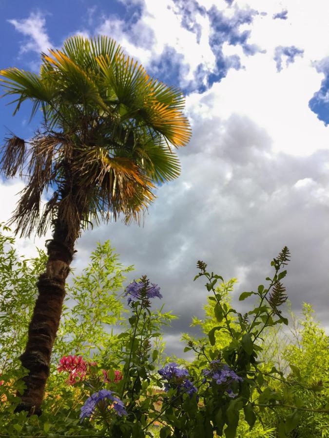 Отель La Bulle Dans Le Palmier Тулуза Экстерьер фото